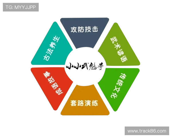 幼儿武术教学探索与实践：培养儿童身心发展与传统文化的结合