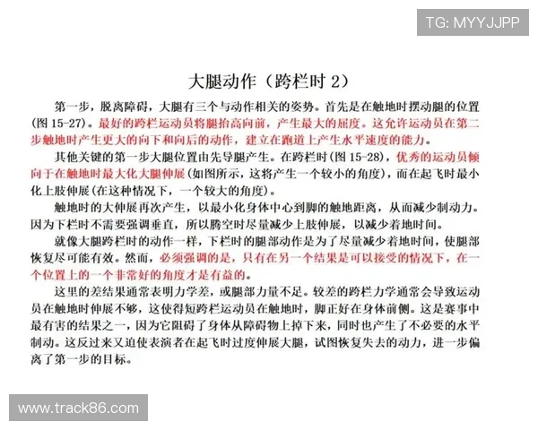 跨栏运动入门全攻略 从基础训练到比赛技巧全方位解析