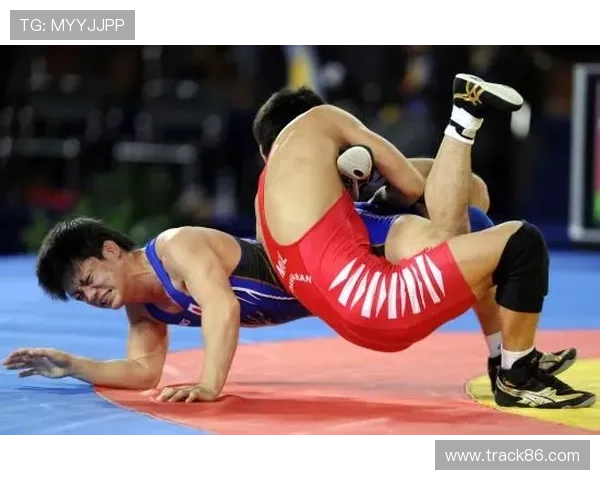 全球顶级摔跤运动员名单解析与竞技风格实力全面盘点发展现状趋势